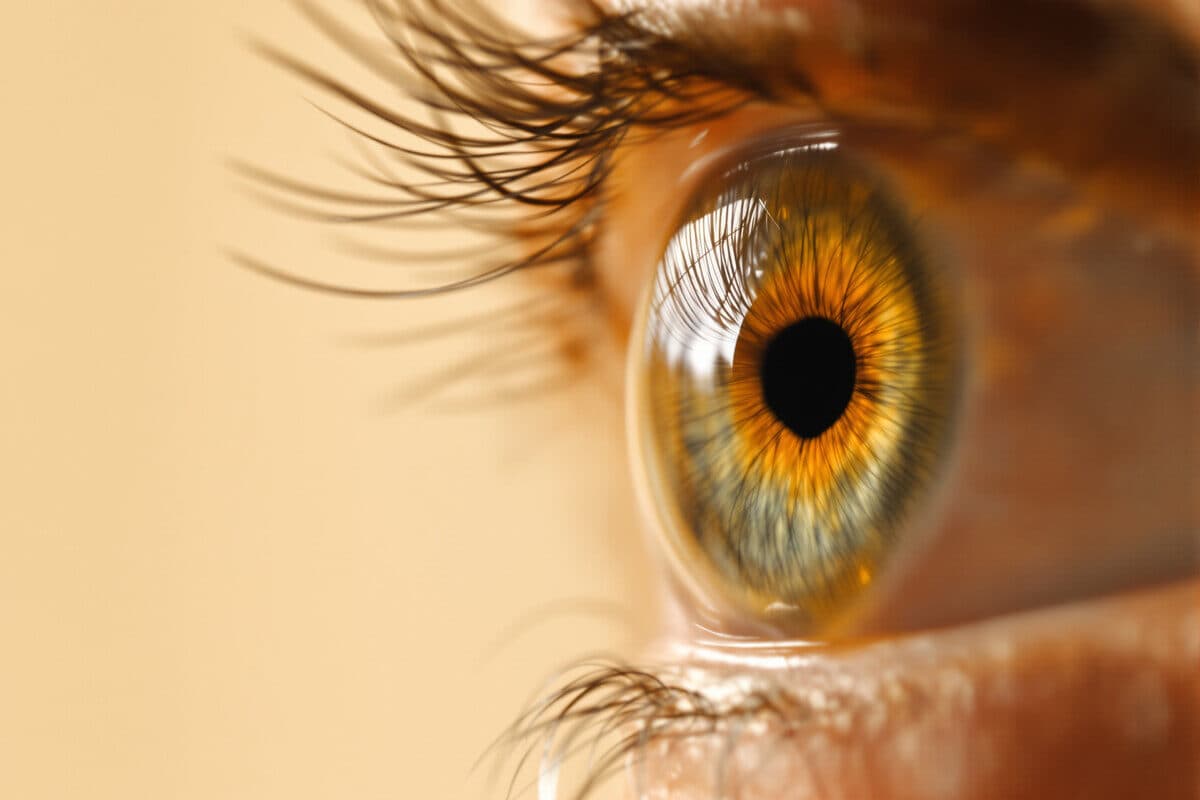 5 Iris Signs & Practical Next Steps