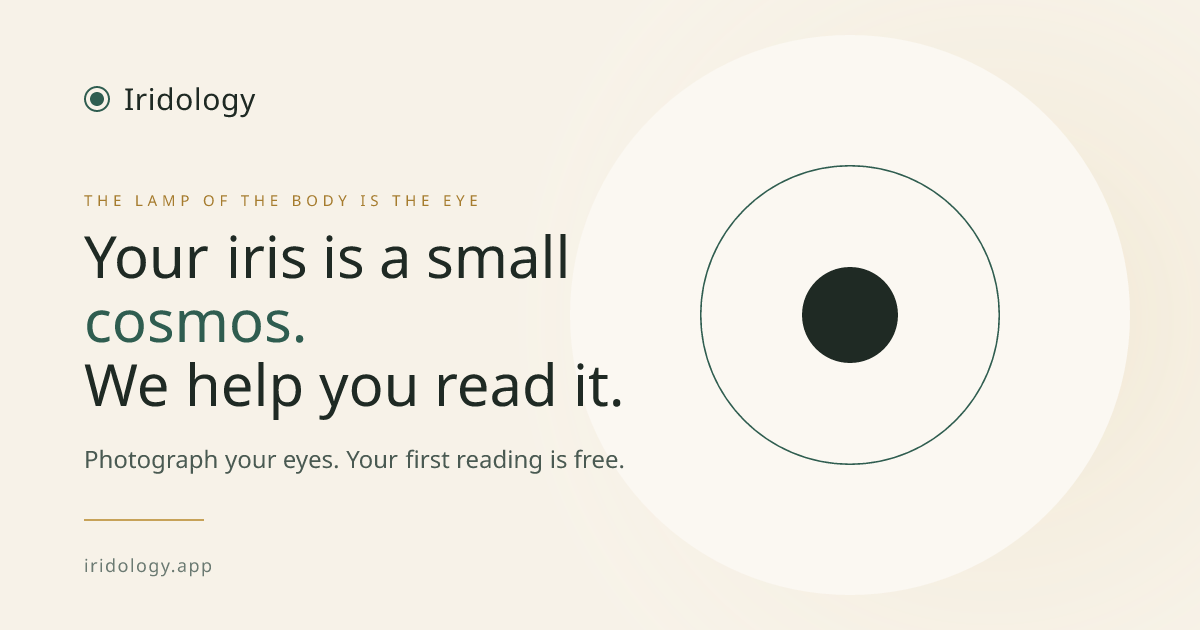 5 Iris Signs & Practical Next Steps | Iridology AI